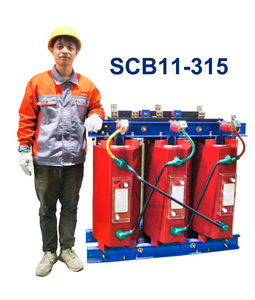 SCB11-315